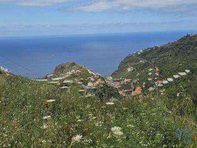 Vente Terrain RIBEIRA-BRAVA 9350