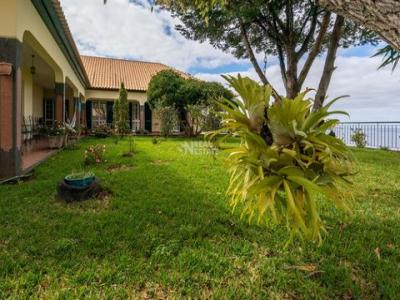 Vente Maison 3 pices RIBEIRA-BRAVA 9350