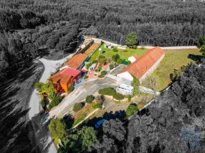 Vente Maison 10 pices RIO-MAIOR 2040