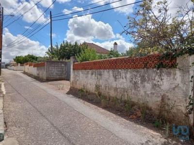 Vente Terrain RIO-MAIOR 2040