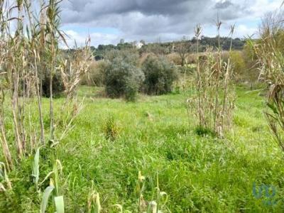 Vente Terrain RIO-MAIOR 2040