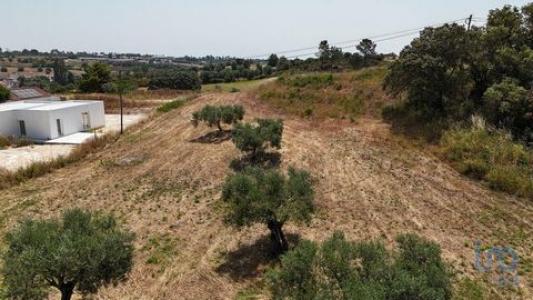 Vente Terrain RIO-MAIOR 2040
