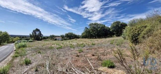 Vente Terrain RIO-MAIOR 2040