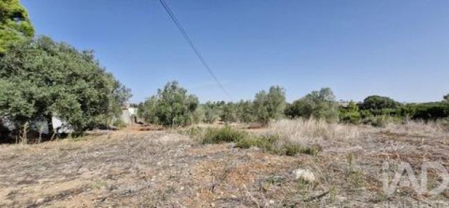 Vente Terrain RIO-MAIOR 2040