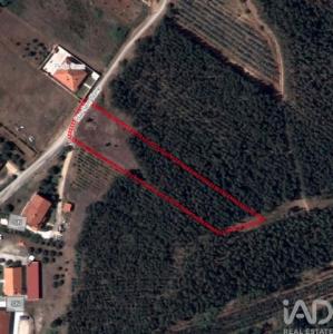 Vente Terrain RIO-MAIOR 2040