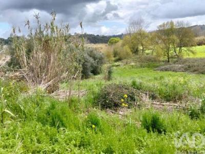 Vente Terrain RIO-MAIOR 2040