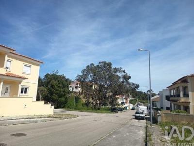 Vente Terrain RIO-MAIOR 2040