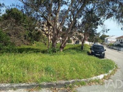 Vente Terrain RIO-MAIOR 2040