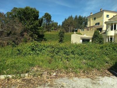 Vente Terrain RIO-MAIOR 2040