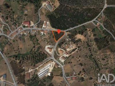 Vente Terrain RIO-MAIOR 2040