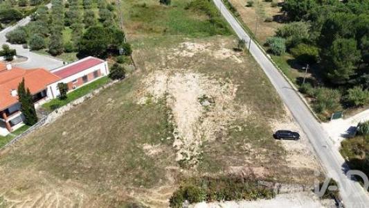 Vente Terrain RIO-MAIOR 2040