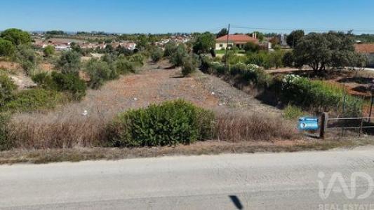 Vente Terrain RIO-MAIOR 2040