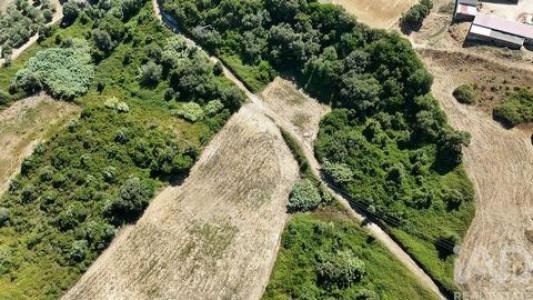 Vente Terrain RIO-MAIOR 2040