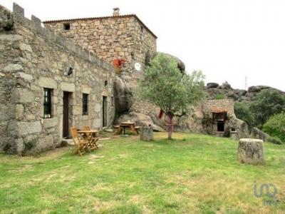 Vente Terrain SABUGAL 6320