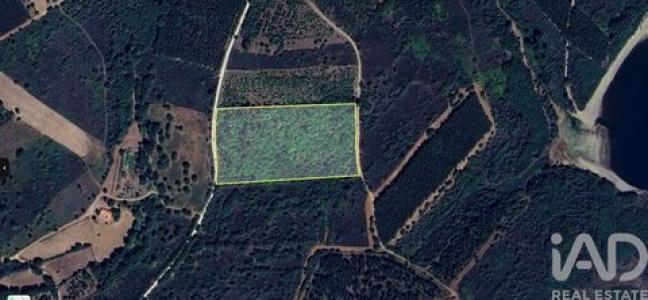 Vente Terrain SABUGAL 6320