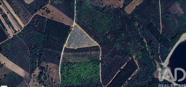 Vente Terrain SABUGAL 6320