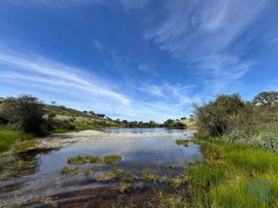 Vente Terrain SAFARA 7875