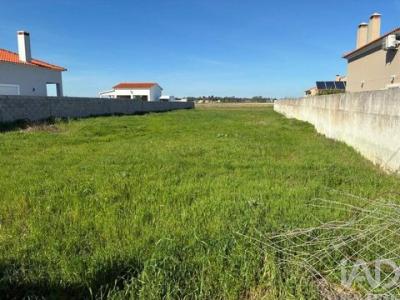 Vente Terrain SALVATERRA-DE-MAGOS 2120