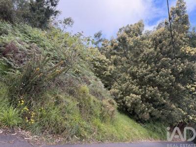 Vente Terrain SANTA-CRUZ 2560