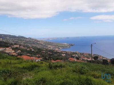 Vente Maison 2 pices SANTA-CRUZ 9100