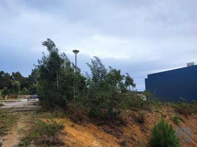 Vente Terrain SANTA-MARIA-DA-FEIRA 4520