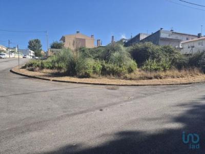 Vente Terrain SANTA-MARIA-DA-FEIRA 4520