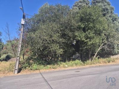 Vente Terrain SANTA-MARIA-DA-FEIRA 4520