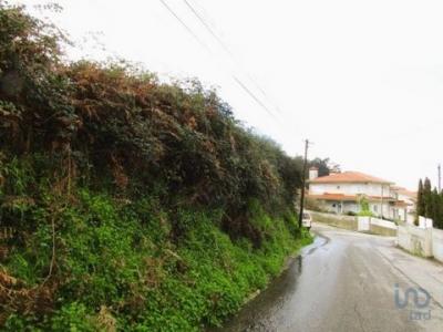 Vente Terrain SANTA-MARIA-DA-FEIRA 4520