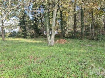 Vente Terrain SANTA-MARIA-DA-FEIRA 4520