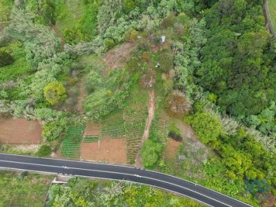 Vente Terrain SANTANA 2970