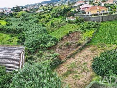 Vente Terrain SANTANA 2970