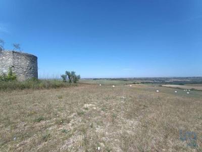 Vente Terrain SANTAREM 2005