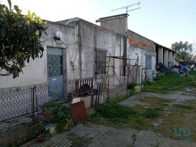 Vente Terrain SANTAREM 2005