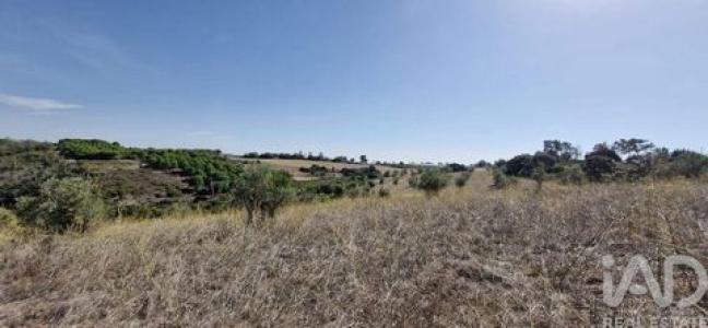 Vente Terrain SANTAREM 2000