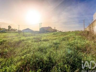 Vente Terrain SANTAREM 2000