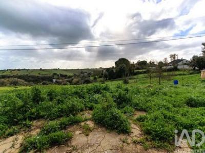 Vente Terrain SANTAREM 2000