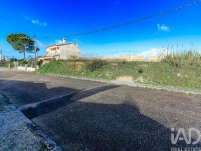 Vente Terrain SANTAREM 2000