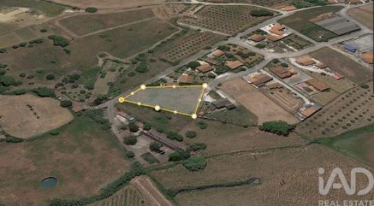 Vente Terrain SANTAREM 2000