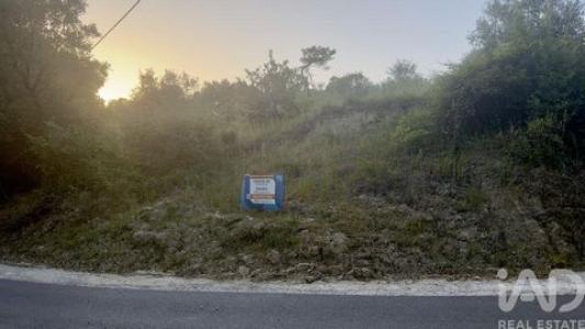 Vente Terrain SANTAREM 2000