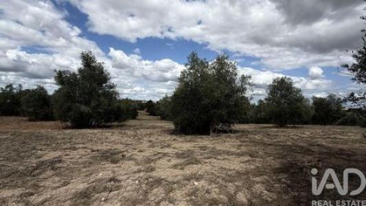 Vente Terrain SANTAREM 2000