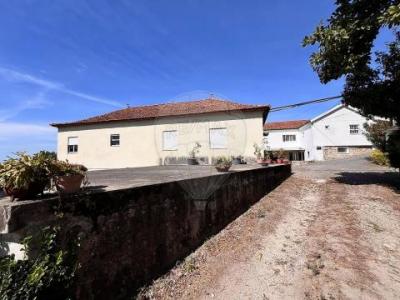 Vente Maison SANTO-TIRSO 4780