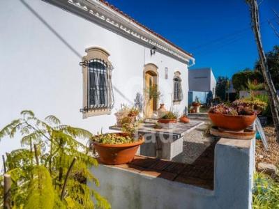 Vente Maison 4 pices SAO-BRAS-DE-ALPORTEL 8150
