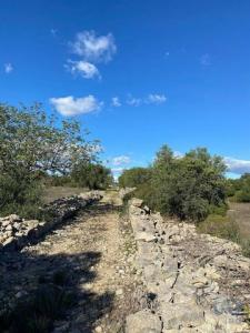 Vente Terrain SAO-BRAS-DE-ALPORTEL 8150