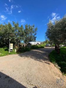 Vente Terrain SAO-BRAS-DE-ALPORTEL 8150