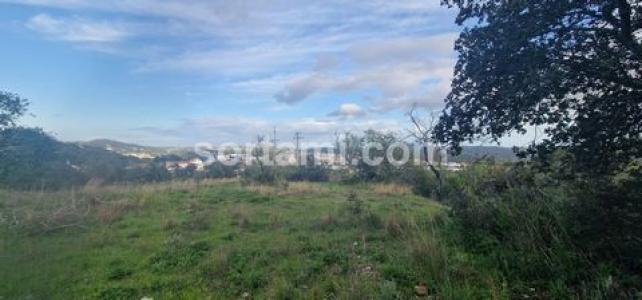 Vente Terrain SAO-BRAS-DE-ALPORTEL 8150