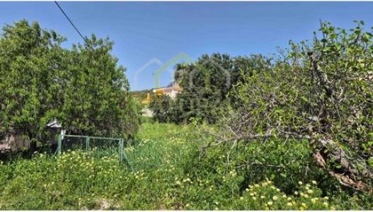 Vente Terrain SAO-BRAS-DE-ALPORTEL 8150