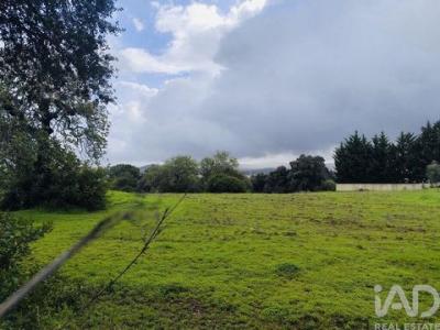 Vente Terrain SAO-BRAS-DE-ALPORTEL 8150