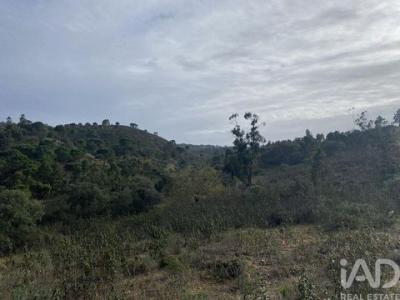 Vente Terrain SAO-BRAS-DE-ALPORTEL 8150