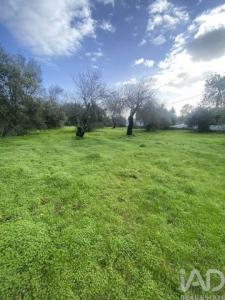 Vente Terrain SAO-BRAS-DE-ALPORTEL 8150