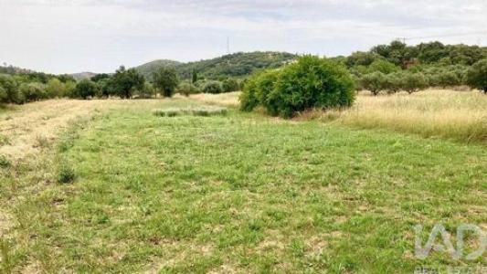 Vente Terrain SAO-BRAS-DE-ALPORTEL 8150
